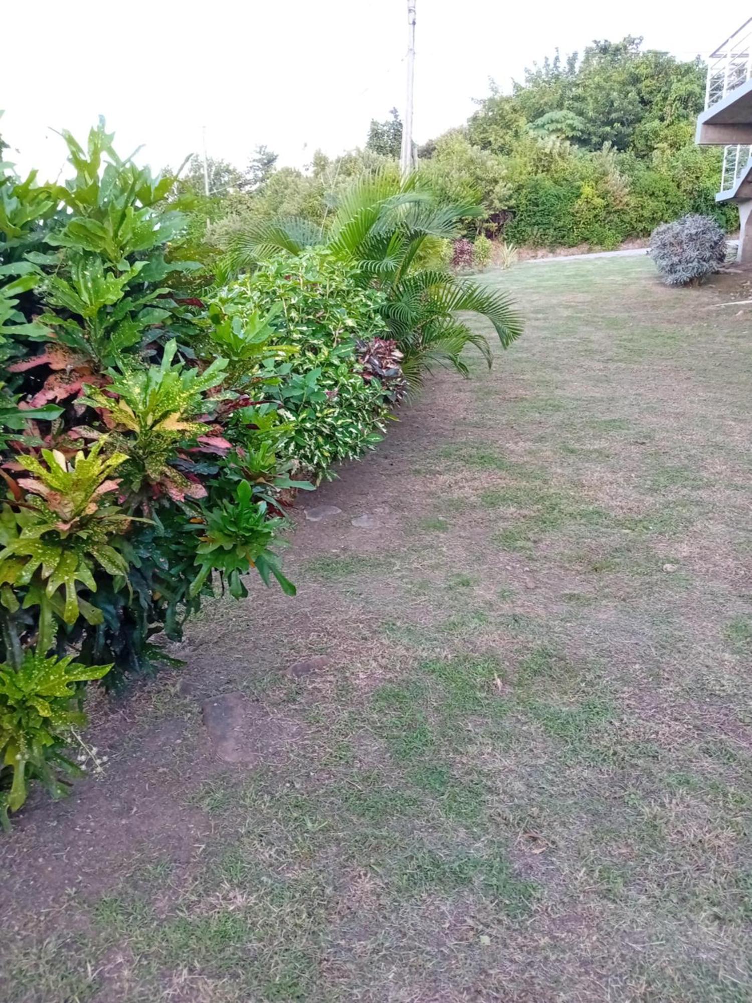 Serenity Seaview Suite Anse La Raye Exterior foto